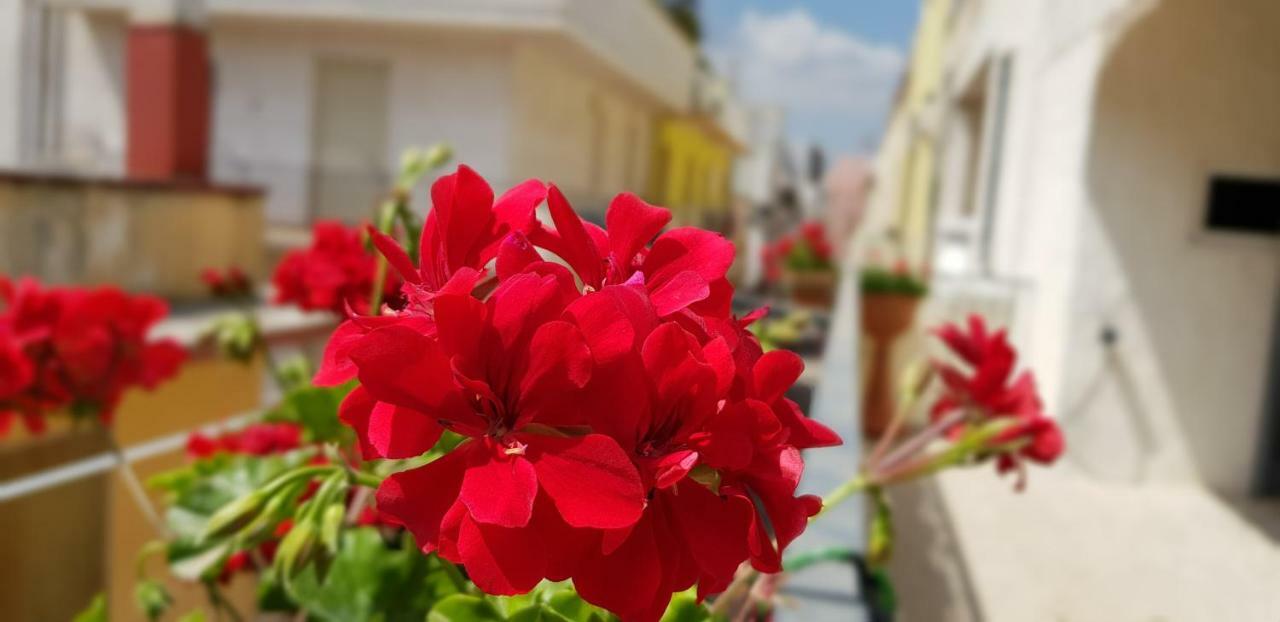 Cupersanum B&B Conversano Ngoại thất bức ảnh